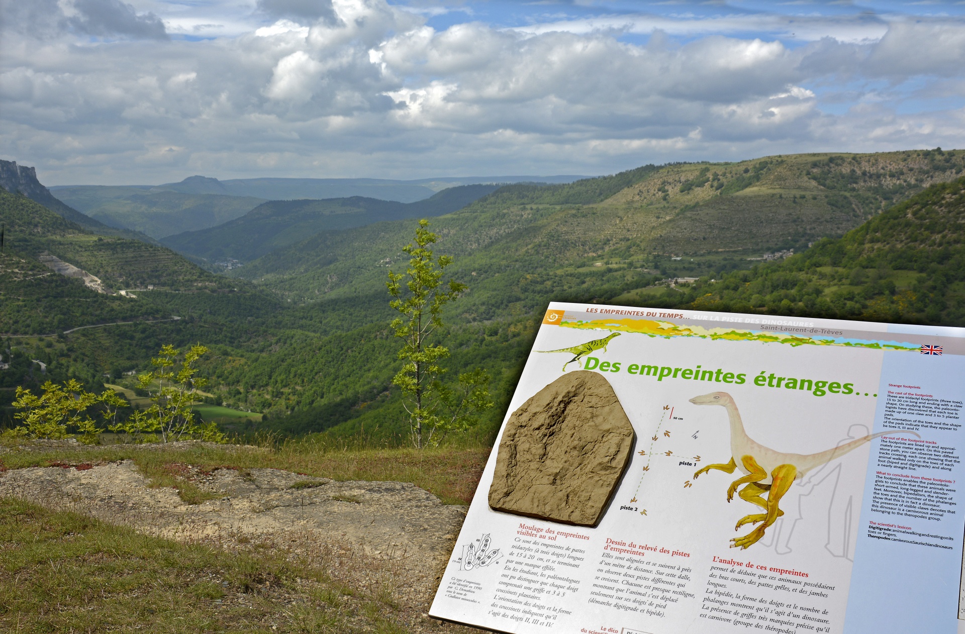 Margeride, Causse Méjean et Cévennes